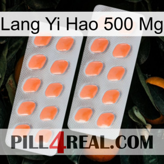 Lang Yi Hao 500 Mg 27